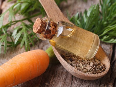 The Antioxidant Properties of Blye Magic Carrot Oil